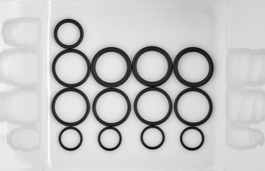 O-rings of different size and thickness, arranged orderly on a white background.
