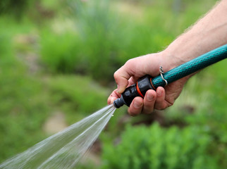 Obraz premium Background of garden work. Fragment of a farmer's hand with a hose for watering plants. A male hand holds a green watering hose. Close-up, free space, side view. Agriculture concept.