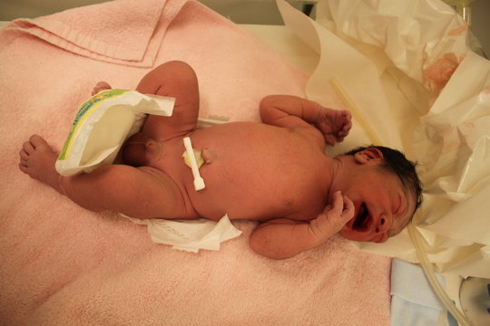 生まれたての赤ちゃん の画像 1 516 件の Stock 写真 ベクターおよびビデオ Adobe Stock