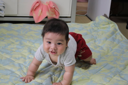 227 Best 四つん這い Images Stock Photos Vectors Adobe Stock