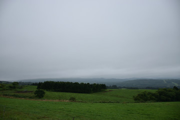 北海道の高原