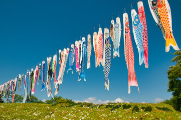 鯉のぼり, カラフル, 子供の日, 5月