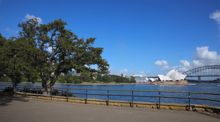 Sydney Harbour forshore viewed from Botanical Gardens in NSW Australia on a nice sunny and partly cloudy Morning blue skies