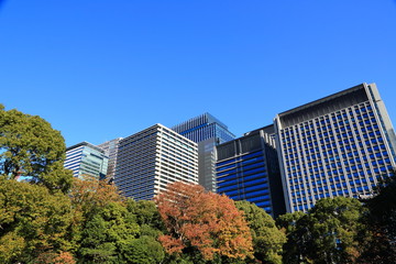 Fototapeta premium 東京都心に広がる森とオフィスビル群