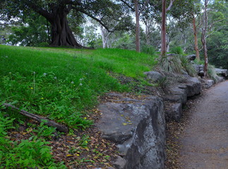 Sydney Botanical gardens lush green trees and jagged rocks green grass blue skies with white clouds on a nice sunny summer morning