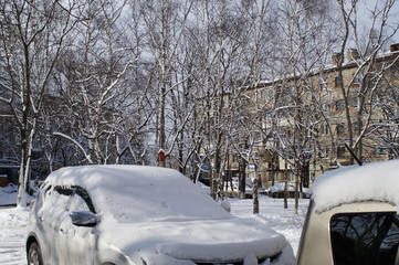 snow, snow removal, trees in the snow, winter in the city, streets in the snow, public utilities, lights in the snow, winter day