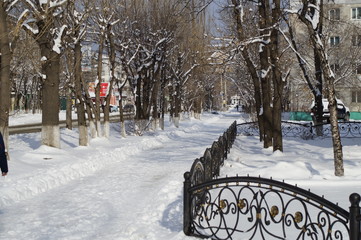 snow, snow removal, trees in the snow, winter in the city, streets in the snow, public utilities, lights in the snow, winter day