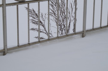 snow, snow removal, trees in the snow, winter in the city, streets in the snow, public utilities, lights in the snow, winter day