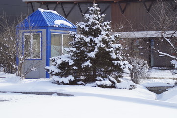 snow, snow removal, trees in the snow, winter in the city, streets in the snow, public utilities, lights in the snow, winter day