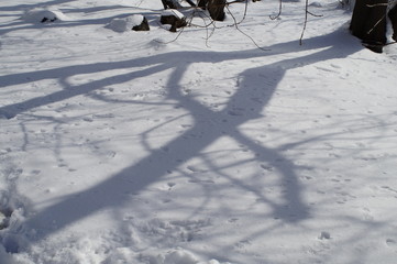 snow, snow removal, trees in the snow, winter in the city, streets in the snow, public utilities, lights in the snow, winter day