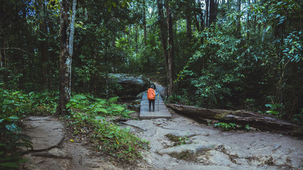 Freedom woman traveler nature. Travel relax. Backpack walk in the forest. Travel backpack. adventure