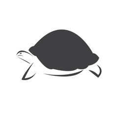 Vector of turtle Black design on a white background. Reptile. Animals. Sea creatures. illustration.