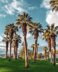 View of a golf course  in Palm Desert, CA.Palm Desert and Palm Springs are popular golf...