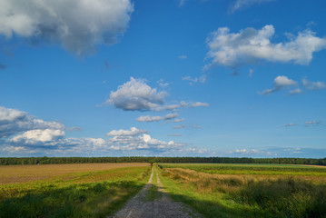 straight rural lane through fields under vivid blue sky with white clouds