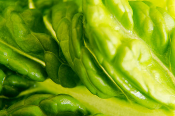 Lettuce leaf texture, close up