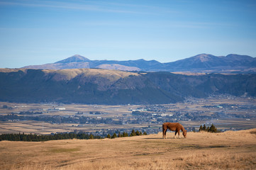 Fototapeta na wymiar 熊本県阿蘇の馬。阿蘇山のカルデラの風景。