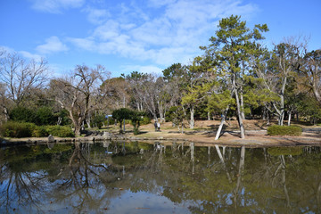 Fototapeta na wymiar 早春の柔らかい陽射しを浴びる公園の風景