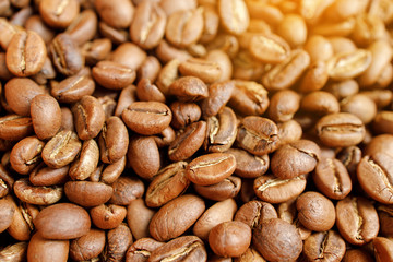 roasted coffee beans in bowl on wooden