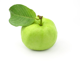 Single Guava (tropical fruit) isolated on white background,copy space.