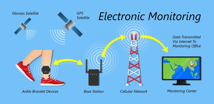 Electronic Monitoring EM Tagging System Tag Territory Offences  Perpetrator