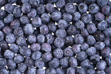 Water drops on ripe sweet billberry. Fresh blueberries background.