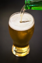 Pouring beer into a tall glass isolated on black background