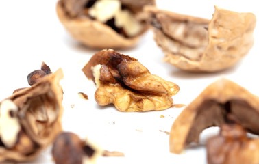 Walnuts isolated on a white background