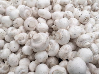 White champignons on a shelf in a store