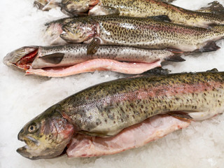 Trout in ice on a shelf in the store