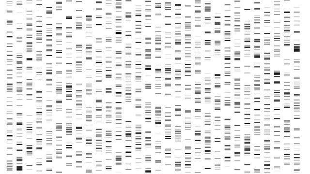 Big Genomic Data Visualization - DNA Test, Barcoding, Genome Map Architecture. Available in 4K video render animation footage.