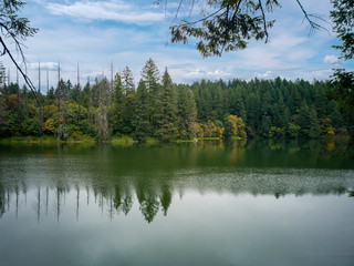 Sunny Round Lake with the surrounding vibrant forest reflecting in the partly cloudy  summer day in Camas Washington