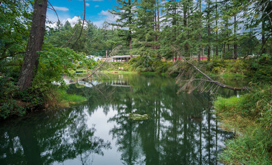 Sunny Round Lake with the surrounding vibrant forest reflecting in the partly cloudy  summer day in Camas Washington