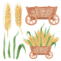 Set of carts and wheat
