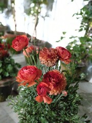 Bouquet of red roses