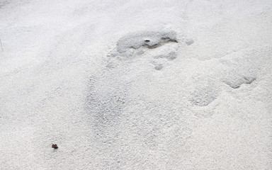 White sea sand of the sea.