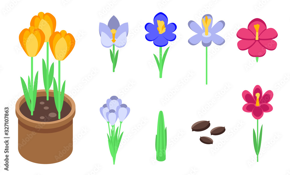 Poster crocus icons set. isometric set of crocus vector icons for web design isolated on white background