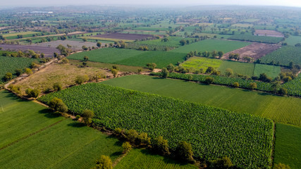 Ariel top view of agriculture field 