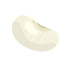 bean seed organic isolated icon vector illustration design