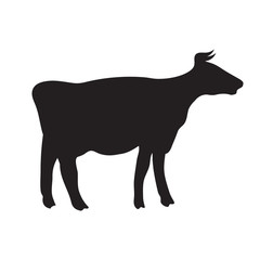 Cow silhouette of an animal on an isolated white background. Vector image