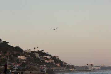 Exploring the beautiful California ocean.