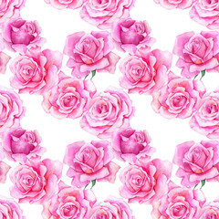 watercolor drawing flowers of rose