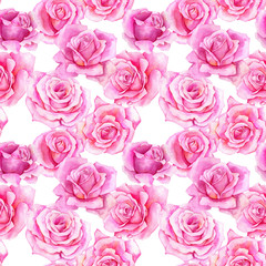 watercolor drawing flowers of rose