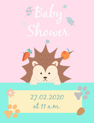 Baby cards for Baby shower. Hedgehog. Postcard or party templates in blue and pink with charming animals.