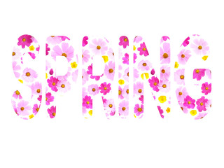 The word "spring" with natural flowers inside the letters, on a white background.