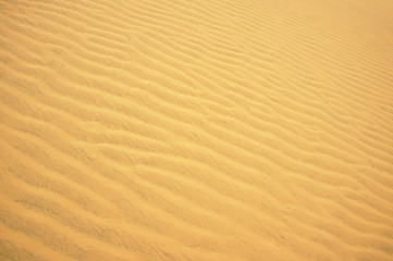 Ripple golden desert sand as background. Sand texture. Pattern, Decoration, Wallpaper.