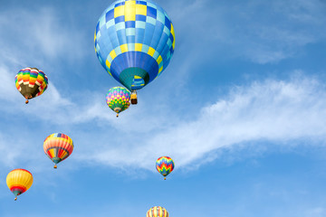 hot air balloons in the sky