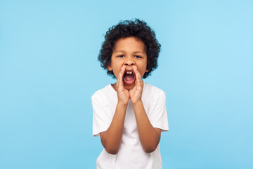 Fototapeta na wymiar Attention! Portrait of little boy with curly hair in white T-shirt holding hands near wide open mouth and shouting loudly, screaming announcement. indoor studio shot isolated on blue background