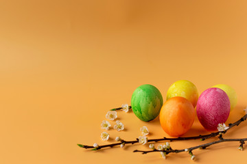 Colored eggs with spring green grass and flowering tree branch on an orange background. Easter holiday, family traditions