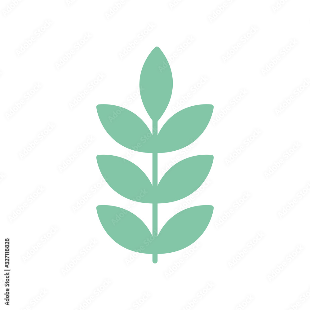 Poster Isolated natural leaves flat style icon vector design