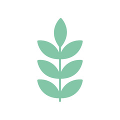 Fototapeta premium Isolated natural leaves flat style icon vector design